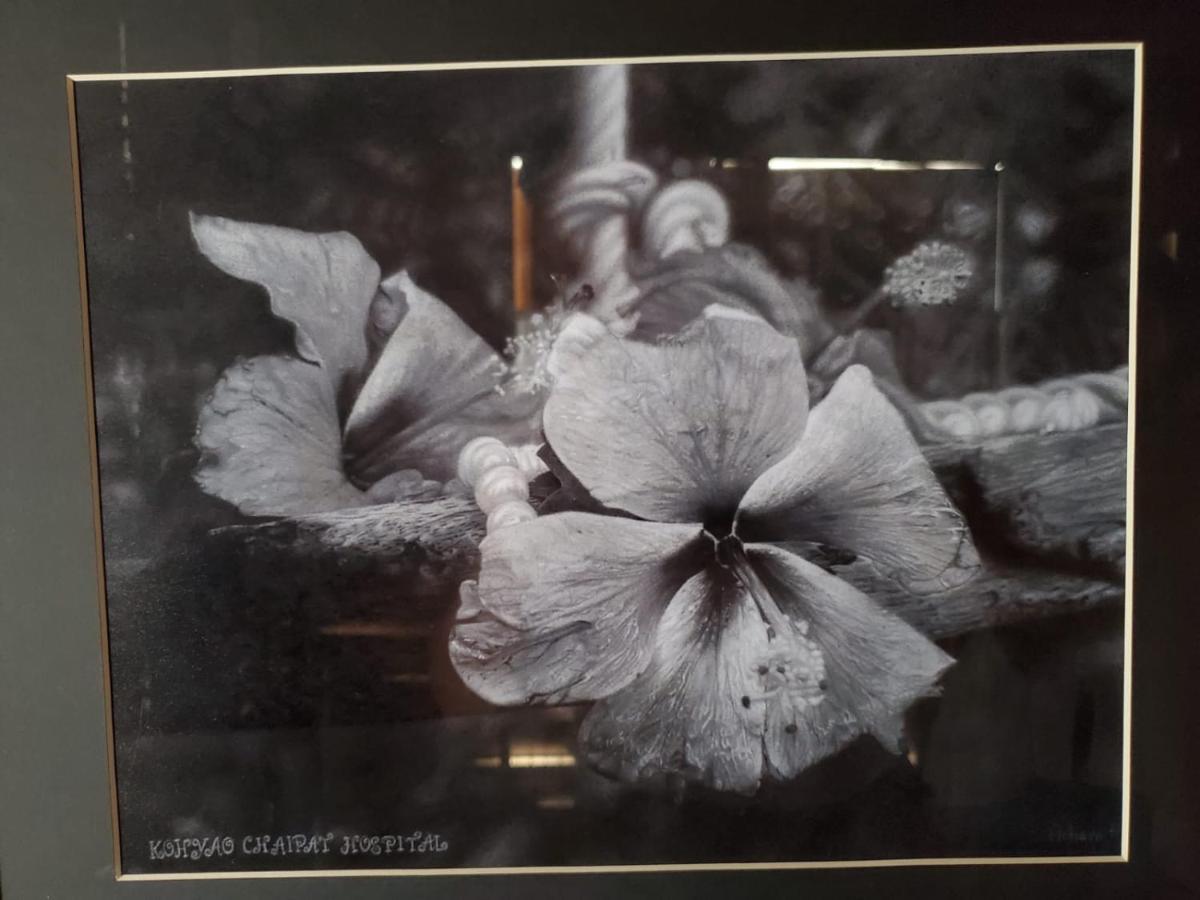 Artist Ko Yao Noi